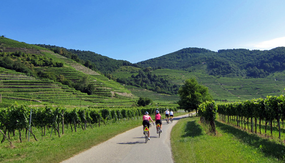 Czech Republic & Austria Biking